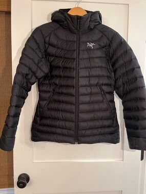 Arc'teryx Black Hooded Lightweight Down Jacket